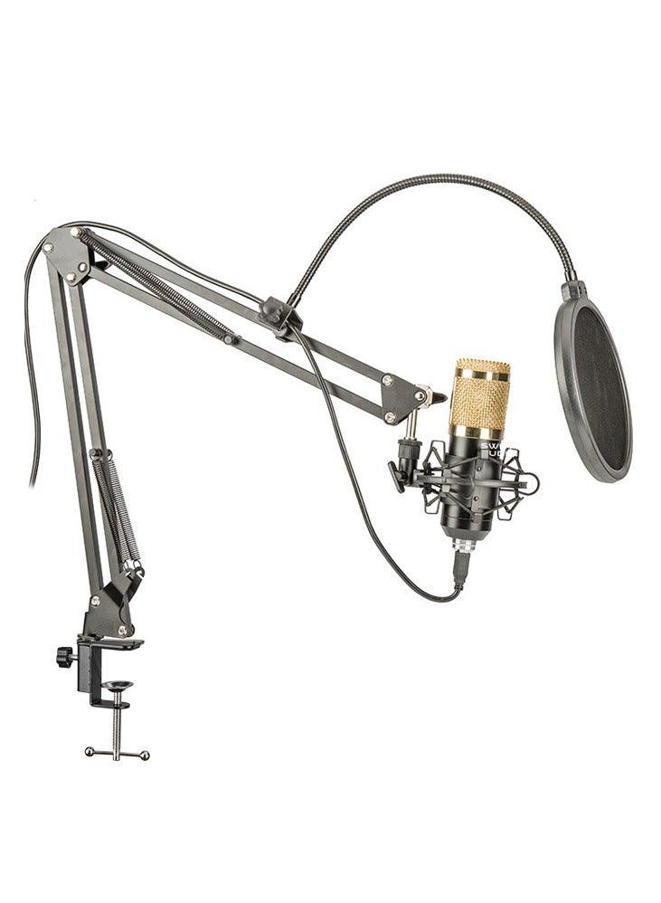 ELTRAZONE Professional Cardioid Microphone With Adjustable Scissor Arm And Shock Mount - Image 1