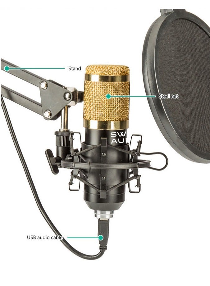 ELTRAZONE Professional Cardioid Microphone With Adjustable Scissor Arm And Shock Mount - Image 3