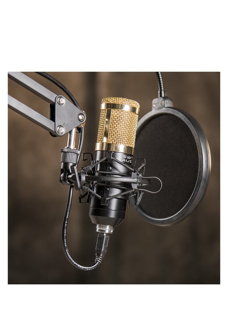 ELTRAZONE Professional Cardioid Microphone With Adjustable Scissor Arm And Shock Mount - Image 2