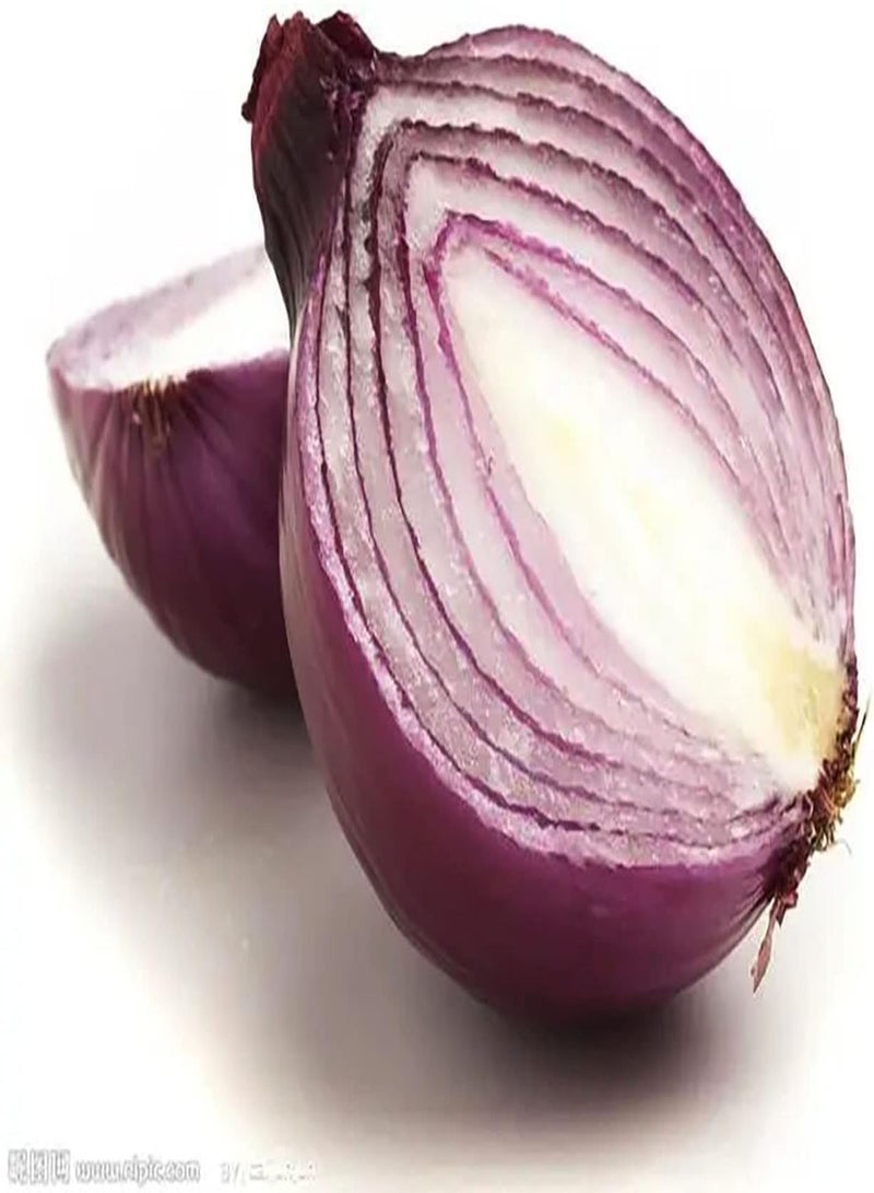 GGOOT 100Stück Zwiebelsamen Versuchen Sie Ihre eigenen sauberen frischen Frühlingszwiebeln Gemüsepflanzen Hausgarten Topfpflanzen produktive Starke Sorten Zwiebelsamen anzubauen - Image 2