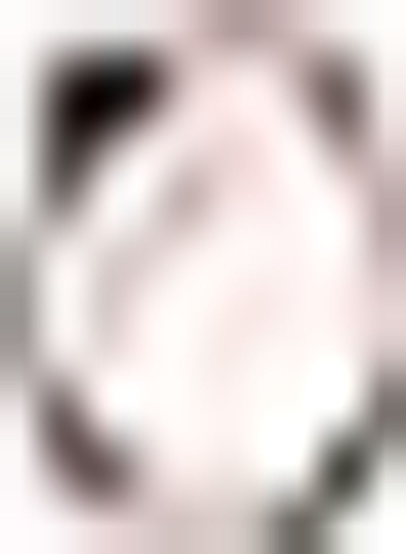 GGOOT 100Stück Zwiebelsamen Versuchen Sie Ihre eigenen sauberen frischen Frühlingszwiebeln Gemüsepflanzen Hausgarten Topfpflanzen produktive Starke Sorten Zwiebelsamen anzubauen - Image 1