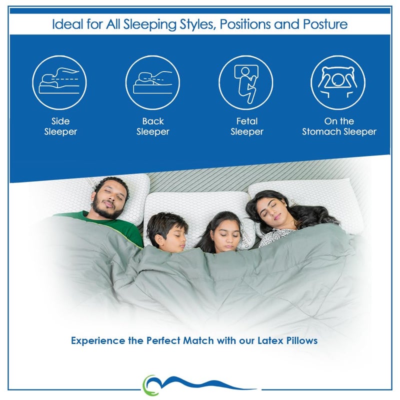 SLEEP & HEALTH SLEEP HEALTH Natural Latex Pillow Infused with Aloe Vera Neck Pain Back Pain Spine Alignment Posture Comfortable Sleep Size 24 x 16 x 4 Inches Pack of 2  - Image 4