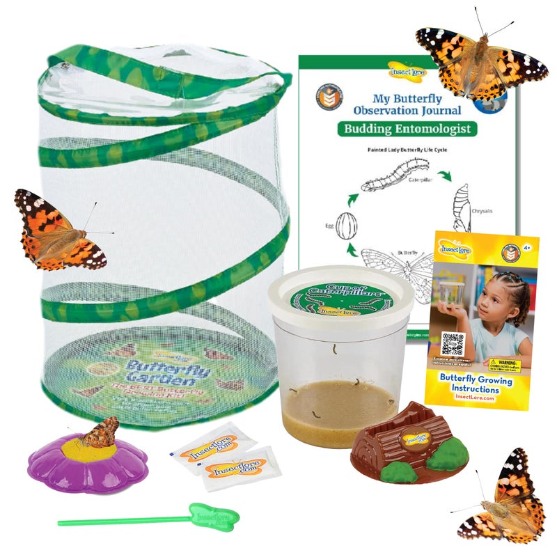 إنسيكت لور erfly Garden | erfly Kit with Live Caterpillars | 5 Caterpillars, Reusable Habitat, STEM erfly Journal  More - Image 1