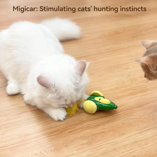 Migipaws cat Toy, Automatic Interactive Migicar Toy Like a Mouse, Intelligent Programme, Rechargeable Kitten Toy - Image 2