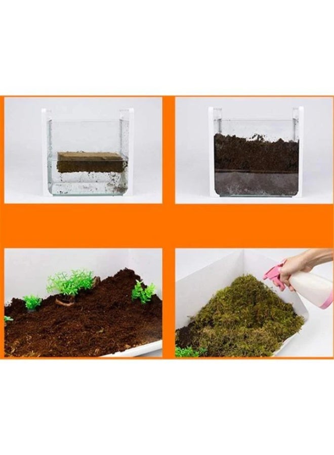 NomoyPet السلحفاة الأفعى الضفدع الفراش والزواحف الركيزة الاستوائية تررم - Image 5