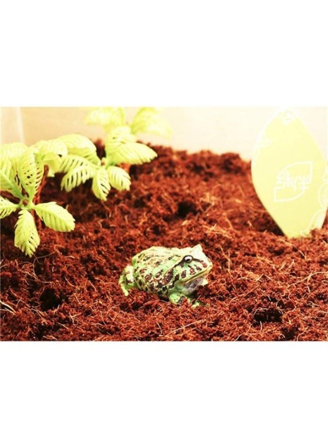 NomoyPet السلحفاة الأفعى الضفدع الفراش والزواحف الركيزة الاستوائية تررم - Image 3