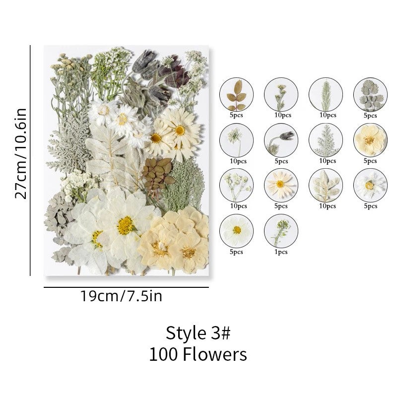 Bluejw ZS031 Real Pressed Dried Flowers – Natural Dried Plants for Candle Making, Resin Jewelry, Nail Art, Kitchen Decor, Pendant & DIY Craft Kits - Image 1