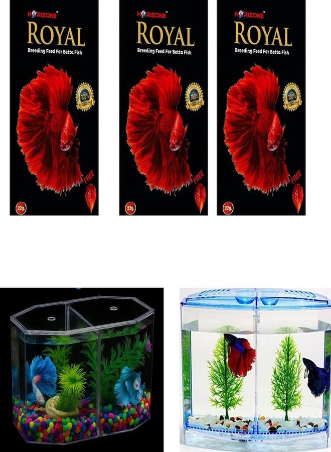 KSH STORE متجر KSH ® مسحوق غذاء تربية أسماك بيتا هوريزون رويال، بنكهة المأكولات البحرية، 22 غرام، عبوة من 3 قطع - Image 5