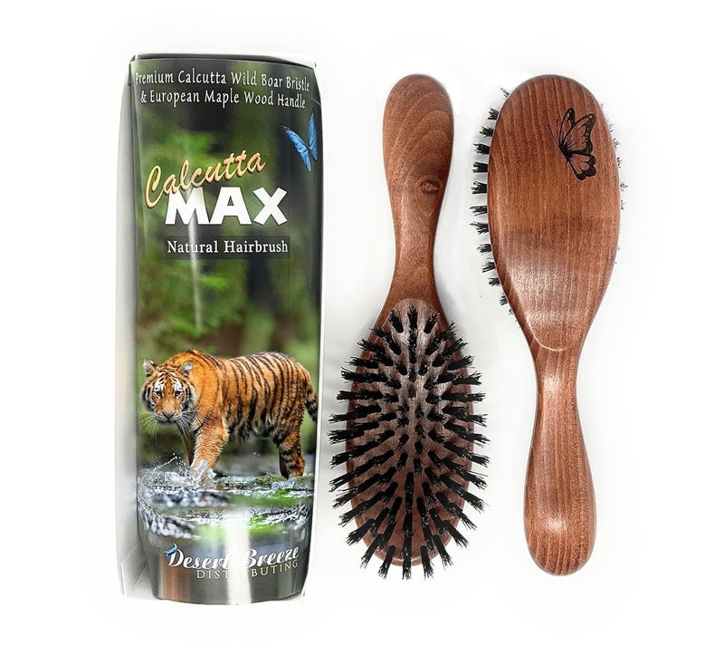Calcutta Max  100 Pure Calcutta Extra Stiff Wild Boar Bristle Hair Brush  Best Natural Hair Brush  Thick Hairbrush for Styling  Smoothing  Dark Maple Wood Handle  Made in Europe