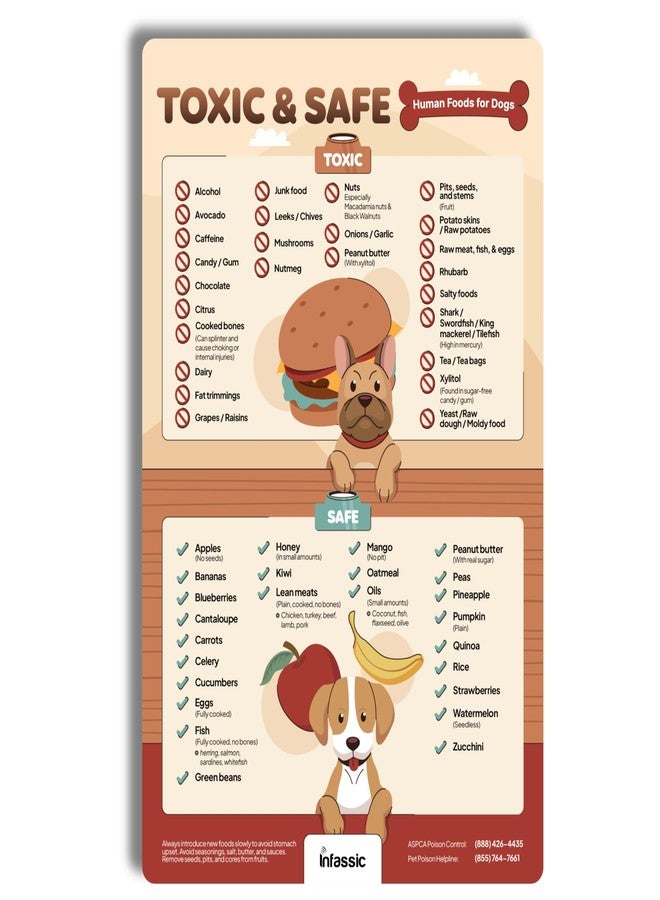 Infassic Food Dogs Shouldn’t Eat Magnet | List of Toxic and Safe Food for Dogs Chart | Food Canines Can & Cannot Eat Magnetic Cheat Sheet | Can My Pet Consume This | Harmful Human Food for Pets - 5.5” x 8.5” - Image 1