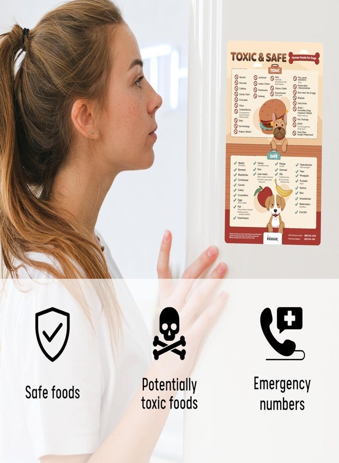 Infassic Food Dogs Shouldn’t Eat Magnet | List of Toxic and Safe Food for Dogs Chart | Food Canines Can & Cannot Eat Magnetic Cheat Sheet | Can My Pet Consume This | Harmful Human Food for Pets - 5.5” x 8.5” - Image 3