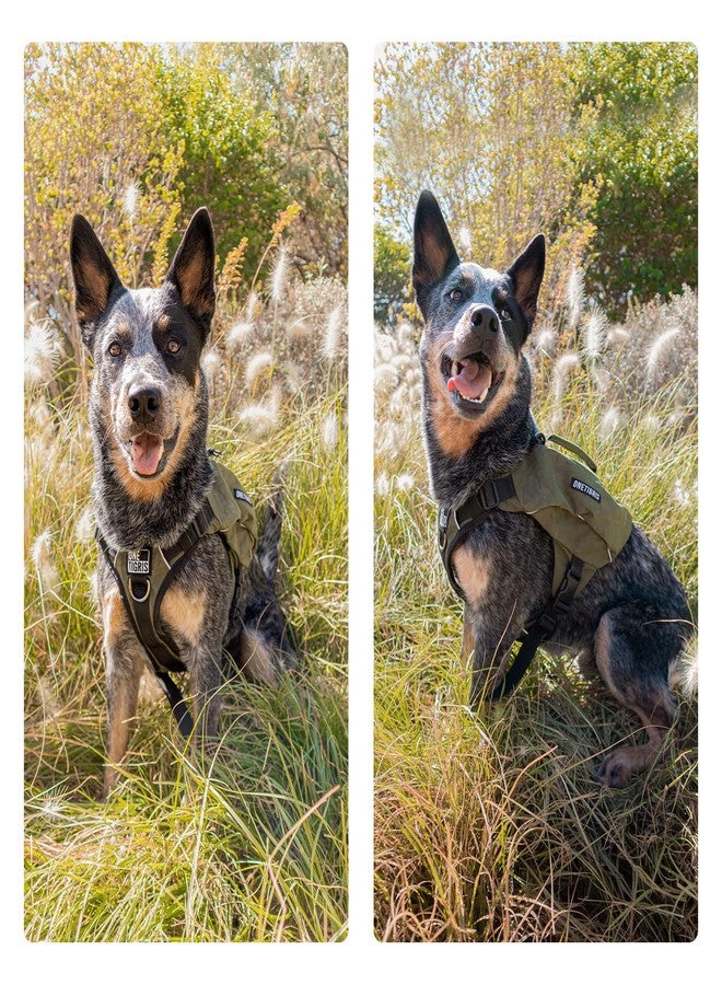 ONETIGRIS Y-Shaped Dog Backpack with Handle, Pockets & No Pull D-Rings, Lightweight Hiking Gear for Dogs Hunting Camping Travel (Medium, Green) - Image 5