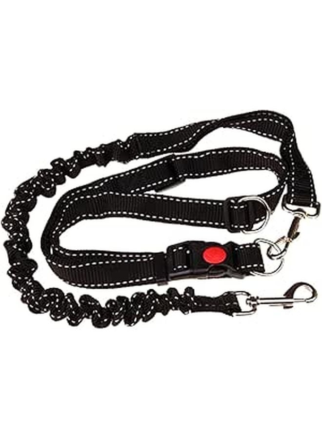 Adjustable Bungee Dog Leash with Waist Belt for Running Hiking Walking Comfortable Handle - Image 1