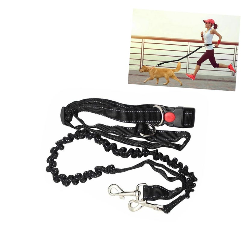 Adjustable Bungee Dog Leash with Waist Belt for Running Hiking Walking Comfortable Handle - Image 5