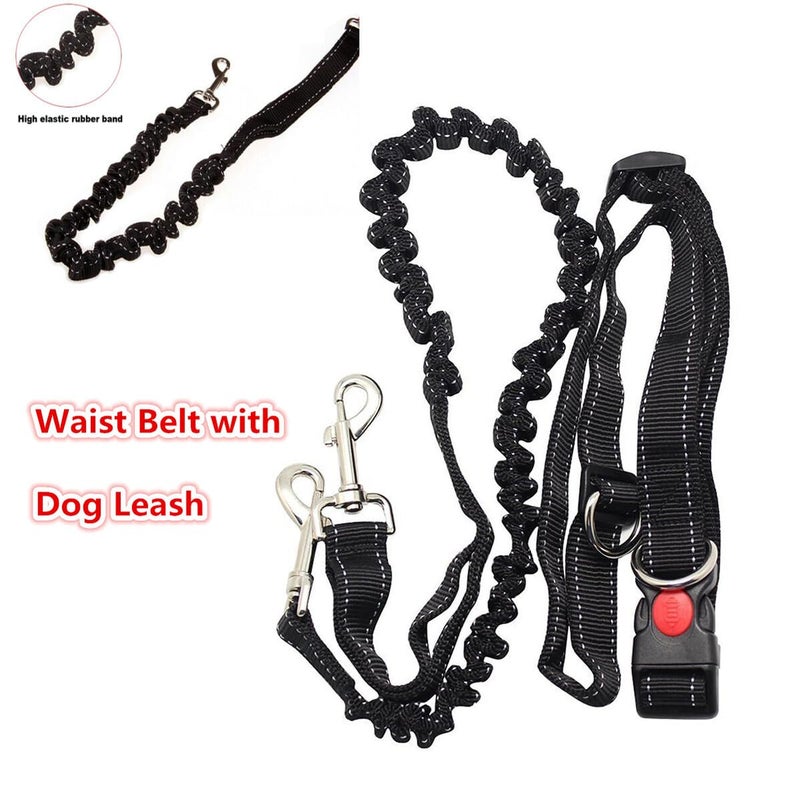 Adjustable Bungee Dog Leash with Waist Belt for Running Hiking Walking Comfortable Handle - Image 4