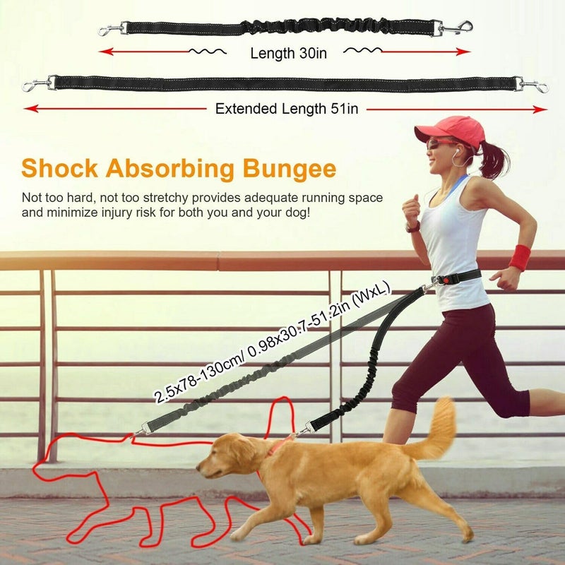 Adjustable Bungee Dog Leash with Waist Belt for Running Hiking Walking Comfortable Handle - Image 3
