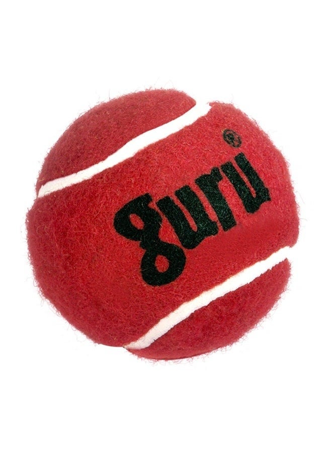 12-Piece Tennis Ball Set