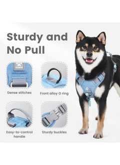 Pawaii Dog Harness for Small Dogs, Dog Harness with Pet ID Tag, No Choke Dog Harness, Adjustable Soft Padded Pet Vest with Easy Control Handle - pzsku/Z565F21B5C1B91CDA3990Z/45/_/1737032072/2695423f-b1a0-4eea-a15c-30a17aa37d88