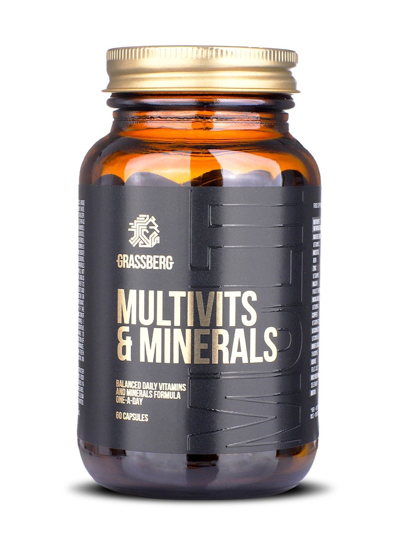 Multivits and Minerals, Multivitamin for Men and Women with Vitamin A, B6, B12, C, D3, E, Biotin, Calcium, Iron, Magnesium, Zinc, and 10 more nutrients - 60 Softgels - pzsku/Z565F9F991A0F869F4B0EZ/45/_/1731849629/ab8a9776-b25c-4c71-a890-edb68ec15ca0