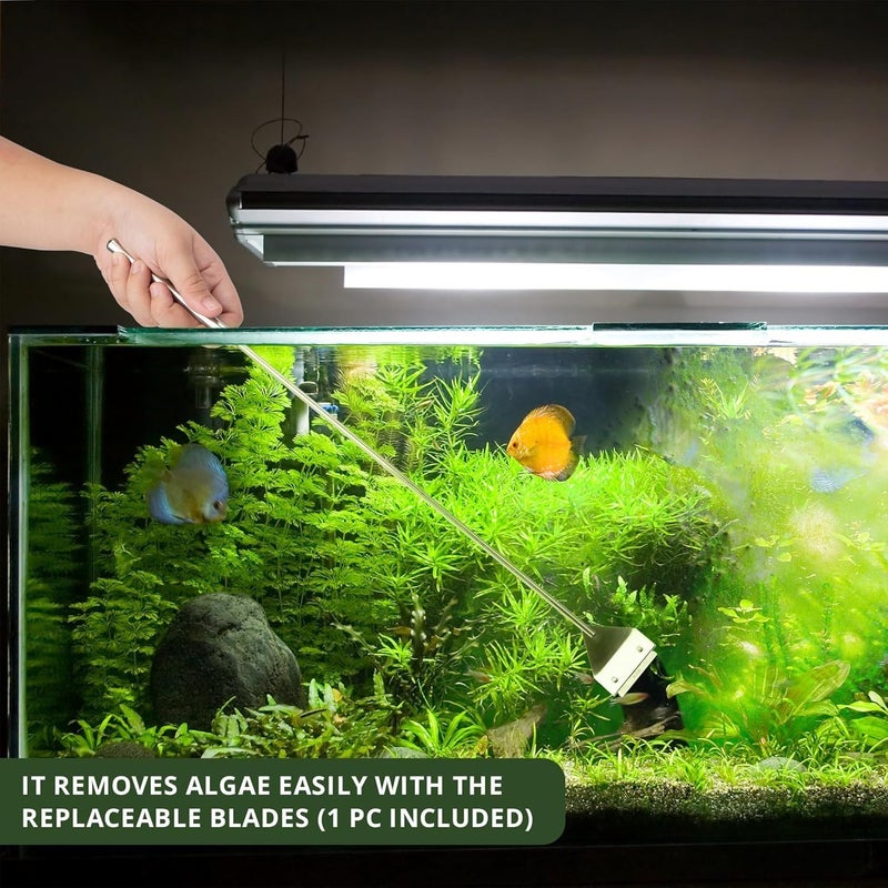 VAYINATO ® Stainless Steel 45cm Long Handle Algae Scrapper with Stainless Steel Blade for Aquarium Fish Tank by Petzlifeworld - Image 4