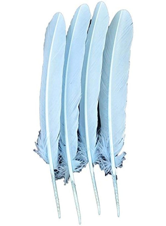 Touch of Nature 4-Piece Turkey Feather for Art and Craft, 12.25 to 13-Inch, Baby Blue