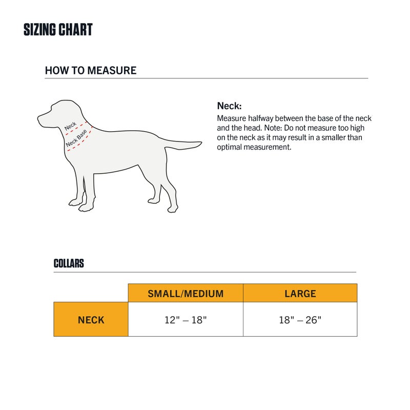 carhartt أطواق كلاب كار هارت قابلة للتعديل بالكامل من حزام النايلون، خياطة عاكسة للرؤية، بني كار هارت (حزام نايلون)، كبير - Image 4