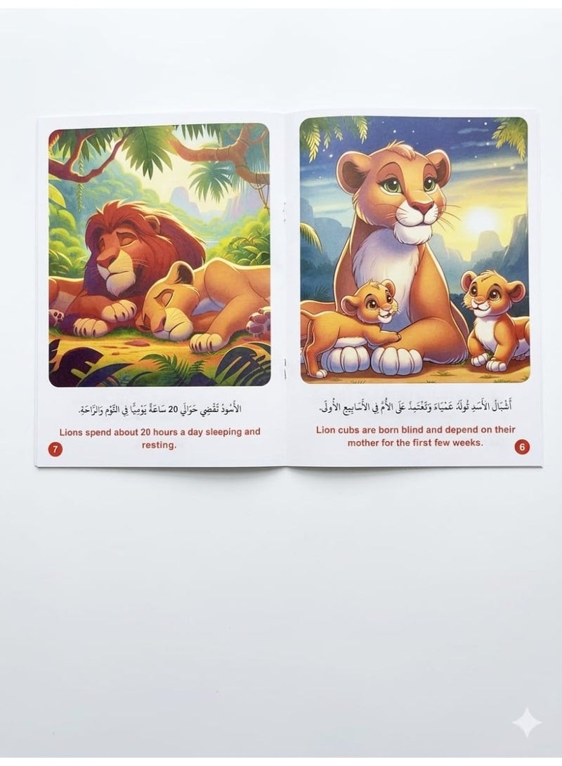 10 Animals Picture & Fact Kids Storybooks Set - Illustrated Animal Kingdom Educational Series - Image 4