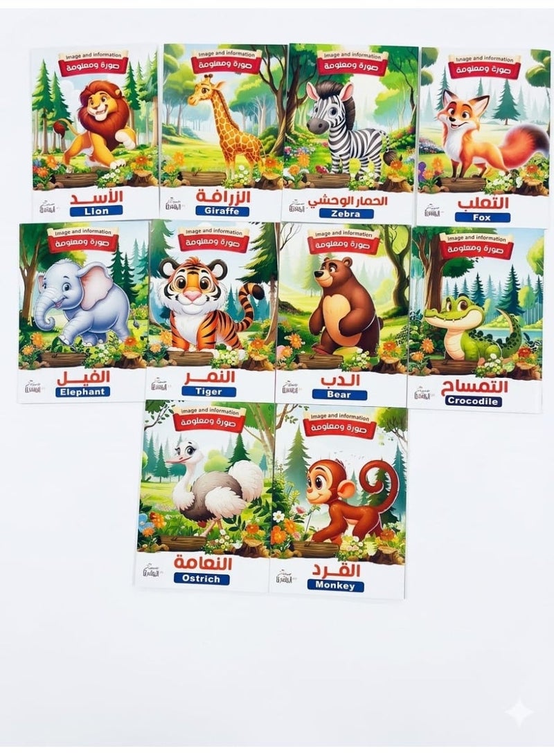 10 Animals Picture & Fact Kids Storybooks Set - Illustrated Animal Kingdom Educational Series - Image 1