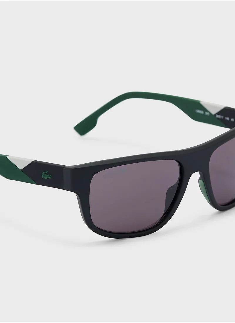 LACOSTE Modified Rectangle Sunglasses L6042S