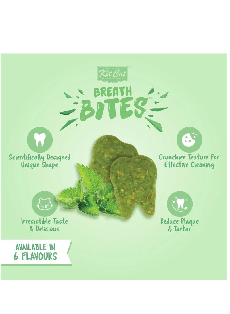Kit Cat Breath Bites Salmon Flavor Infused With Mint Cat Treats 60g - Image 2