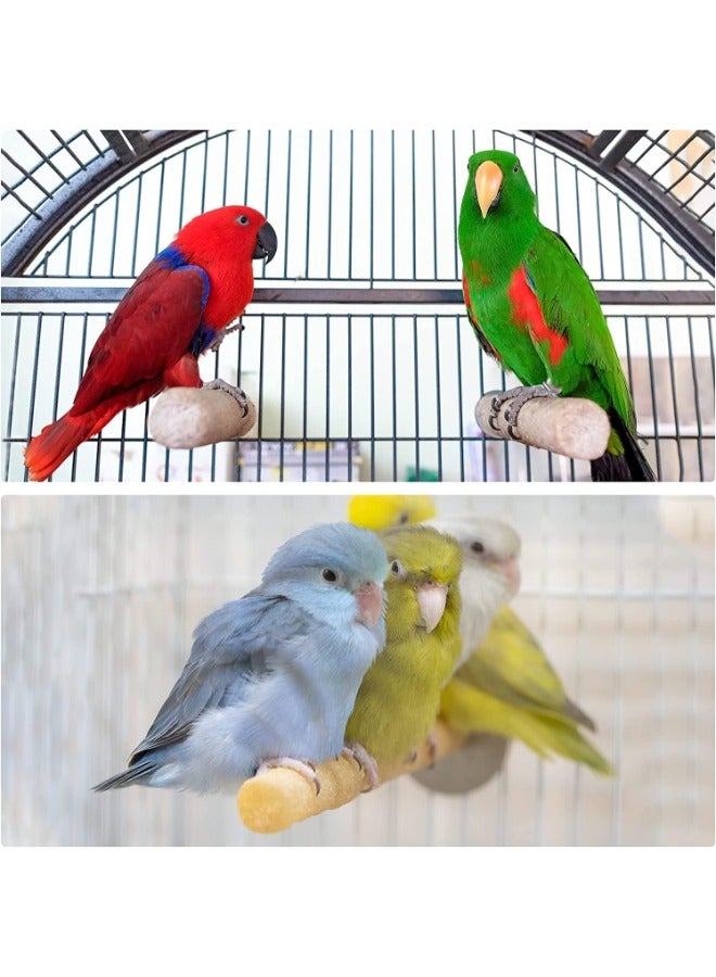 Petsary Nail Gringing Bird Perch - Image 3