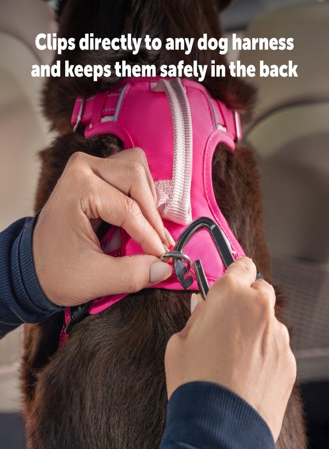 بيت سيف حزام أمان PetSafe - حزام أمان قابل للتعديل للكلاب في السيارة - متوافق مع جميع أنواع أحزمة الأمان - مشبك كارابين، أسود - حزام أمان واحد - Image 4