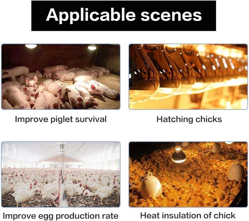 klarakoa Livestock Poultry Heat Warm Lamp Bulb, 1 Pcs Waterproof Anti-Explosion Heat Lamp Bulb for Pig Piglet Chickens Chick Hen Duck Birds House - Image 2