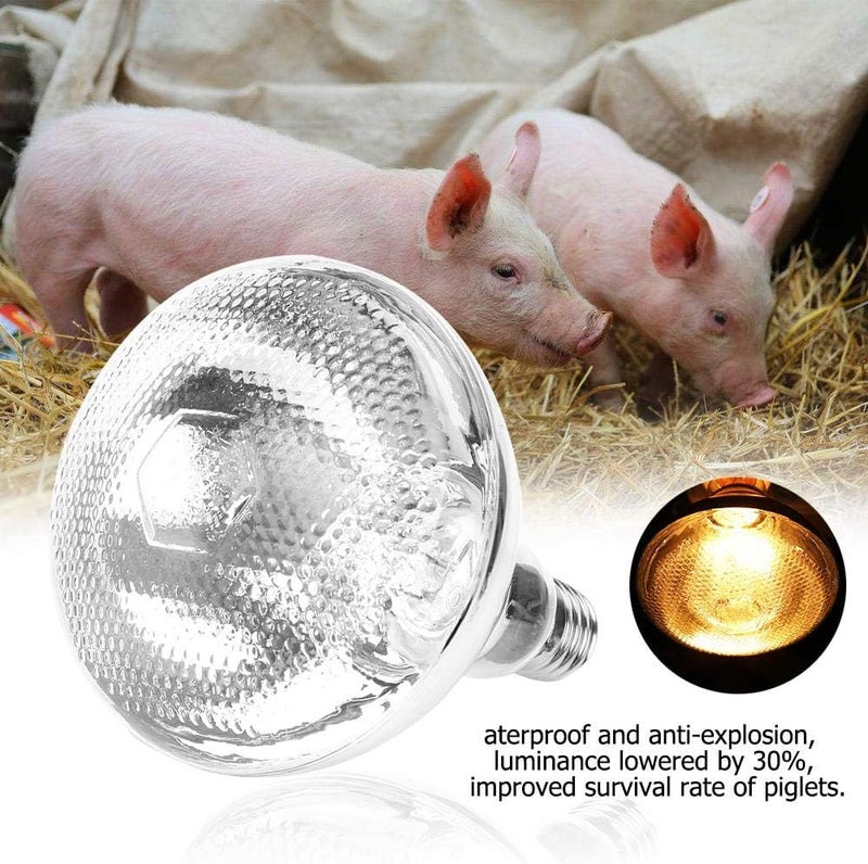 klarakoa Livestock Poultry Heat Warm Lamp Bulb, 1 Pcs Waterproof Anti-Explosion Heat Lamp Bulb for Pig Piglet Chickens Chick Hen Duck Birds House - Image 5