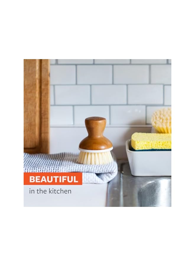 Full Circle, White Bubble Up Bamboo Dish Brush, White, 1 Count (Pack of 1) - Image 4