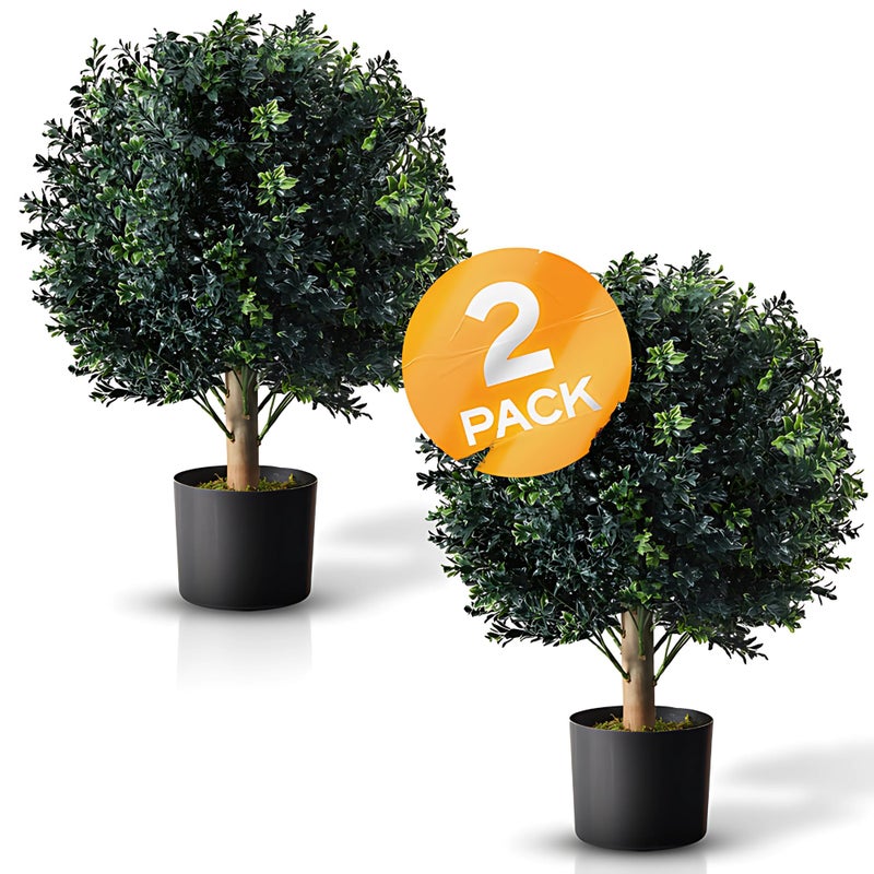 BOTARO TRESIL Set of 2  PrePotted 24 High Ball Shaped Boxwood Topiary 16 Diameter  Plastic Pot