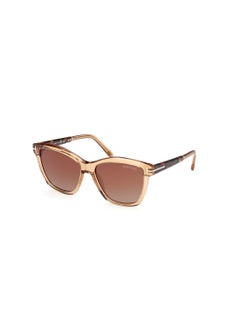 Women's Square Shape Acetate Sunglasses FT108745F54 Lens Size: 54 Millimeter - Shiny Light Brown - pzsku/Z5668B72943C84BC2A2A0Z/45/_/1727713166/5c892fb4-54d6-42c8-8822-900d8579f15f