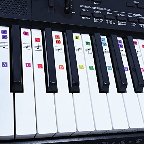 Palap Super Premium Vibrant Colors Piano Stickers Labels for 37, 49, 54, 61, 76, 88 Keys Keyboard, Piano Removable Stickers - Image 2