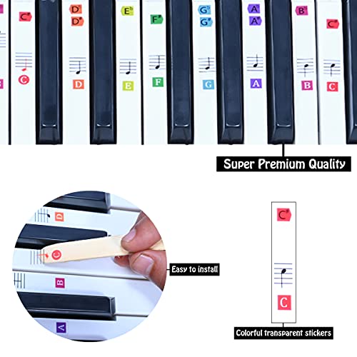 Palap Super Premium Vibrant Colors Piano Stickers Labels for 37, 49, 54, 61, 76, 88 Keys Keyboard, Piano Removable Stickers - Image 3
