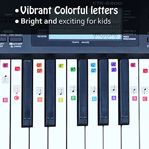 Palap Super Premium Vibrant Colors Piano Stickers Labels for 37, 49, 54, 61, 76, 88 Keys Keyboard, Piano Removable Stickers - Image 4