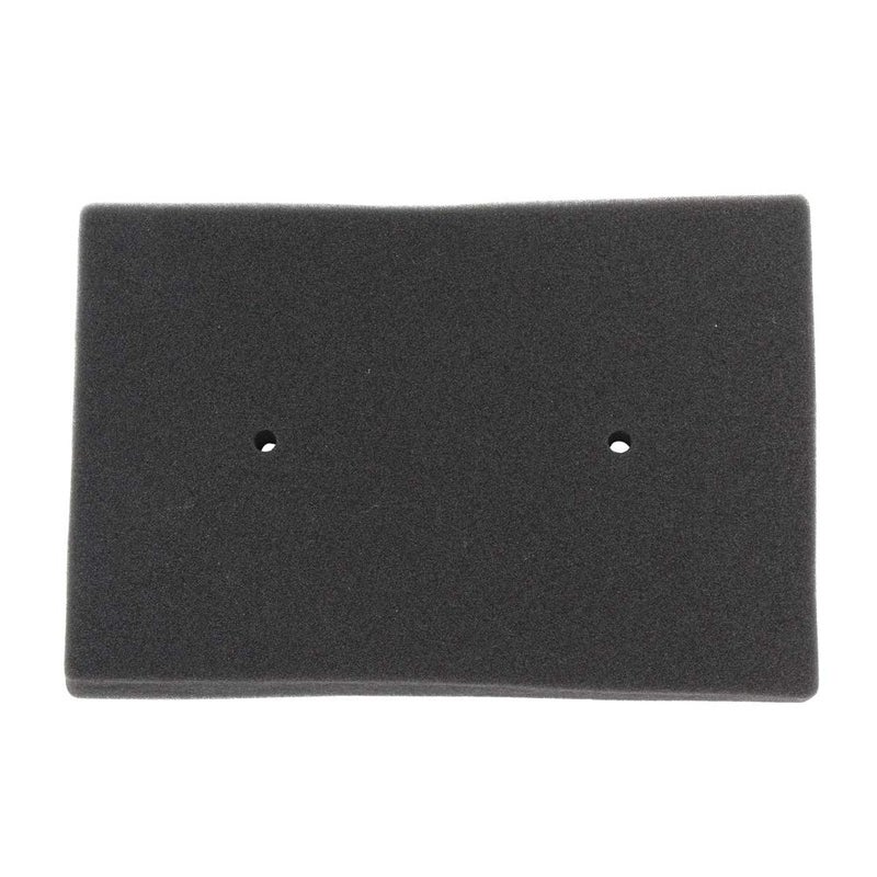 LOCOPOW 110130020 Air Filter HFA2505 for Kawasaki Ninja 250R EX250 Ninja 300 EX300 EX300A EX300B 2008 2009 2010 2011 2012 2013 2014 2015 2016 2017