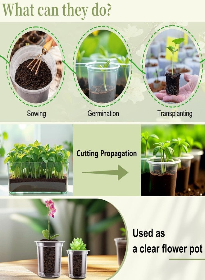 SupKing Clear Nursery Pots 5/4/3.5 Inch Plastic Seed Starter Plant Flower Pot with Drainage Holes for Transplanting Succulents Cuttings Seedlings 15 Labels (12Pcs) - Image 4