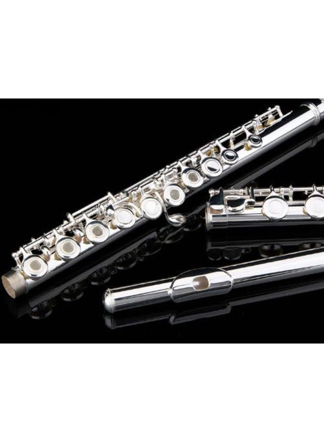 Glory Silver Plated Intermediate 16 Keys Open/Closed Hole C Flute - Image 3