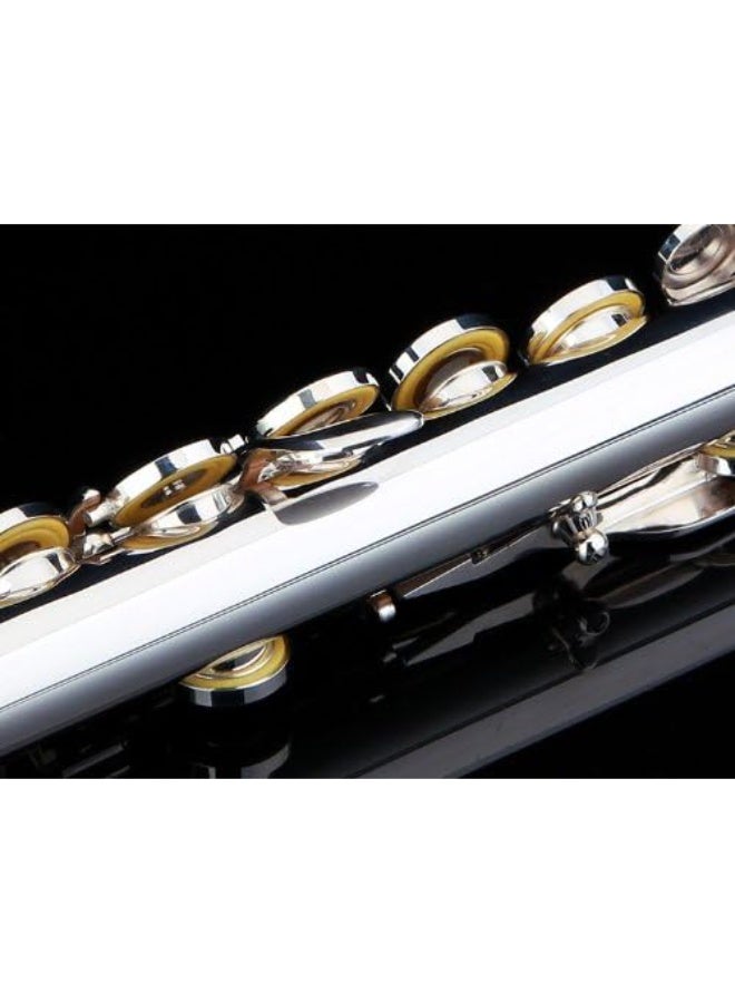 Glory Silver Plated Intermediate 16 Keys Open/Closed Hole C Flute - Image 4