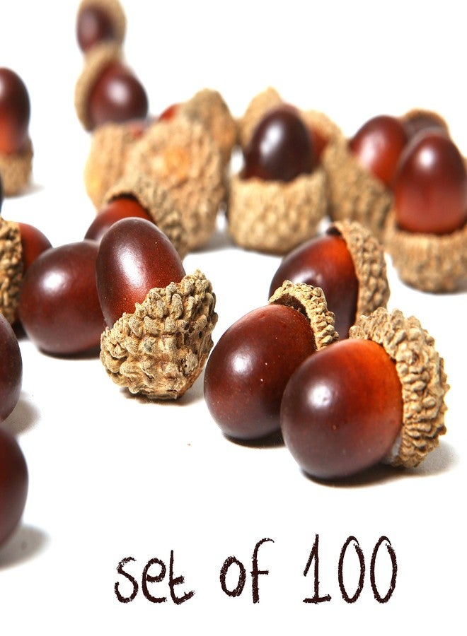 MyGift 100-Piece Brown Assorted Artificial Acorn Caps, Fall Autumn Vase Filler and Rustic Seasonal Decorations - Image 5