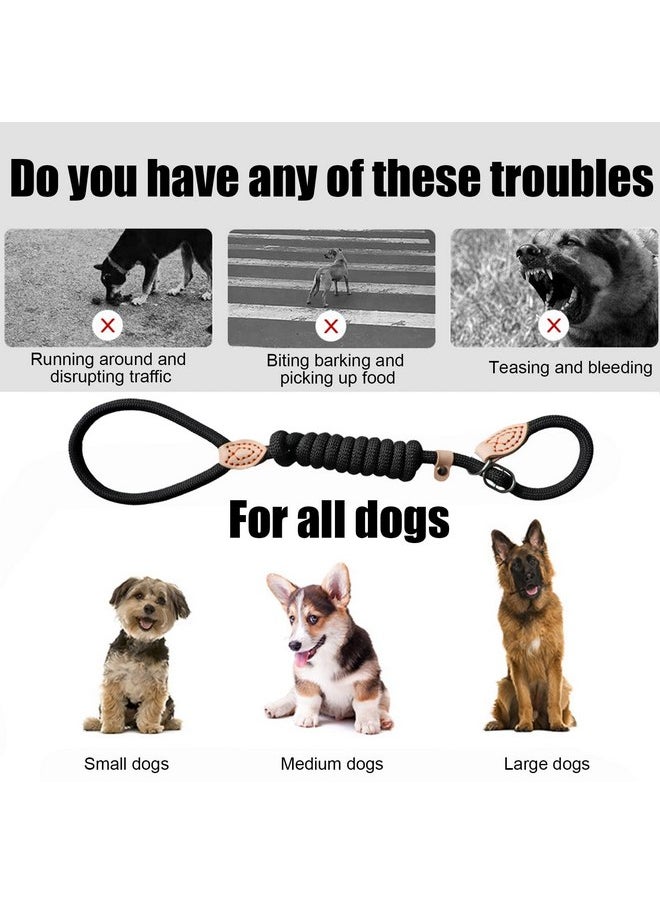 BangBoom - Dog Slip Leads 5.9ft Long Comfort Nylon Heavy Duty Dog Leash Durable Dog Leash with Adjustable Slipknot to Fit Medium or Large Dog Breeds Dog Rope Leash for Walking Mountain Climbing (Black, 1.8m) - Image 1