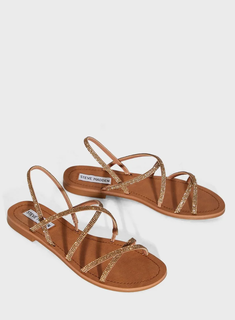 STEVE MADDEN Rita Flat Sandal