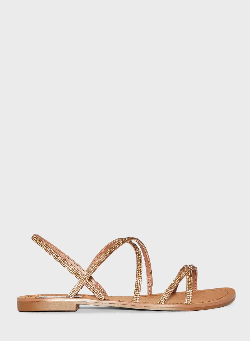 STEVE MADDEN Rita Flat Sandal