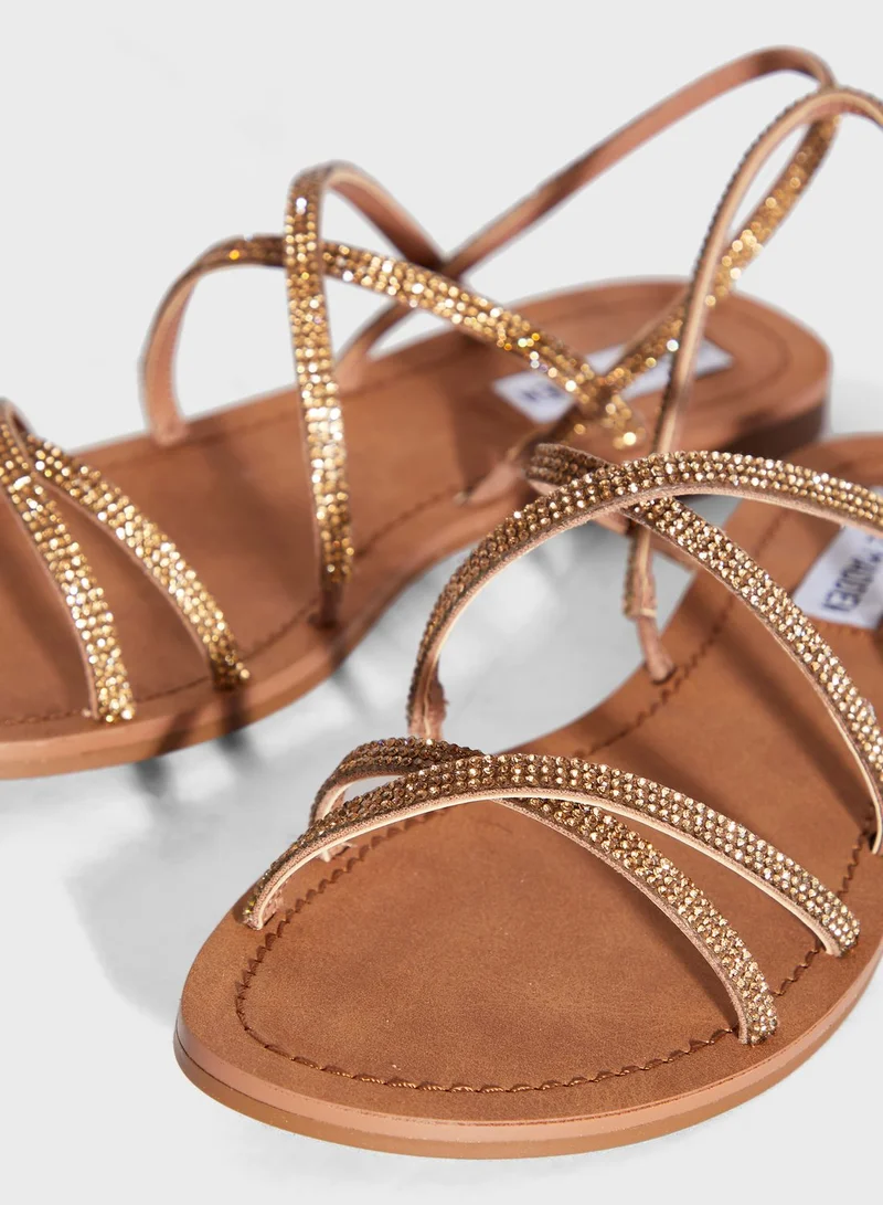 STEVE MADDEN Rita Flat Sandal
