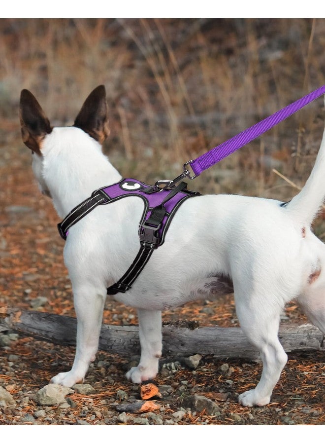 جويتيل مقود الكلاب Joytale العاكس مزدوج الجوانب، بطول 6 أقدام/5 أقدام/4 أقدام، مقود الكلاب المصنوع من النايلون بمقبض مبطن للكلاب المتوسطة والكبيرة أثناء المشي، أرجواني، بطول 6 أقدام - Image 2